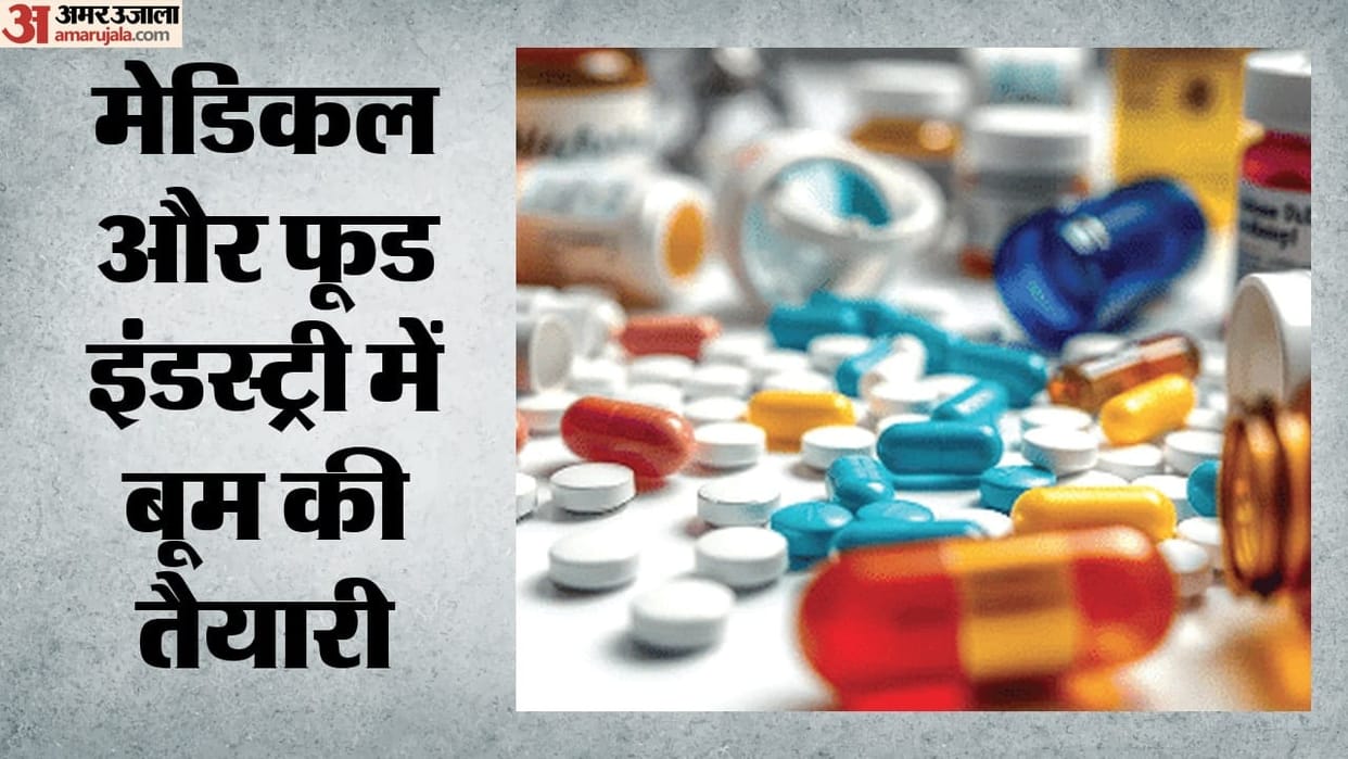 india pharma industry import research licensing rules major reforms four key decisions