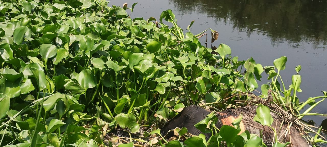 Body of former village head recovered from Kali River after four days; family suspects murder