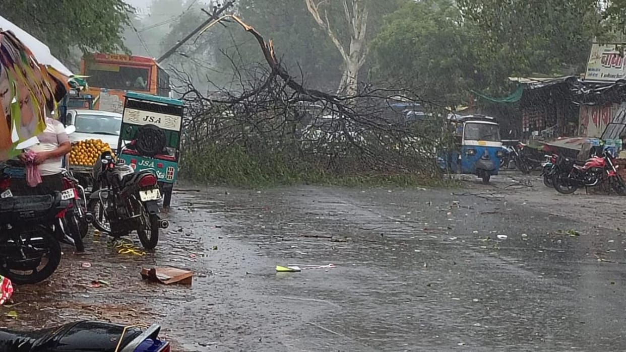 Jhansi: Havoc caused by storm and rain; several trees and electricity poles toppled