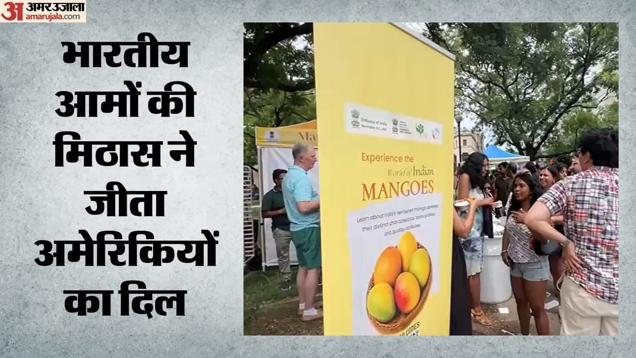US: Indian mangoes prove a hit in Washington