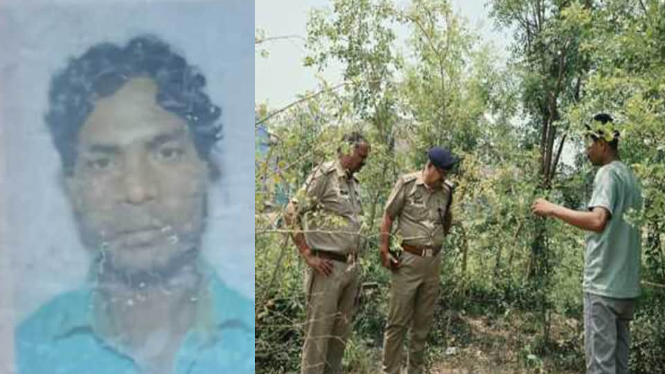 UP: Brick kiln worker murdered, body dumped in bushes