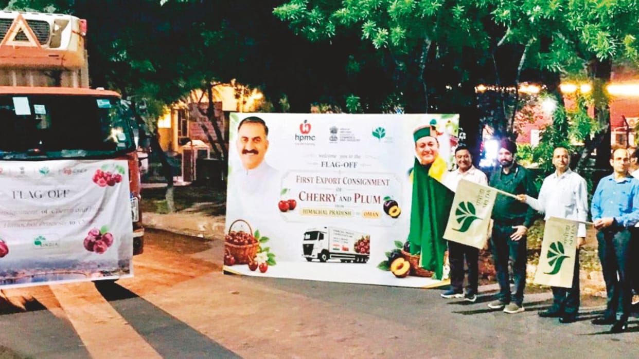 himachal cherry plum first export to oman hpmc apeda 2026