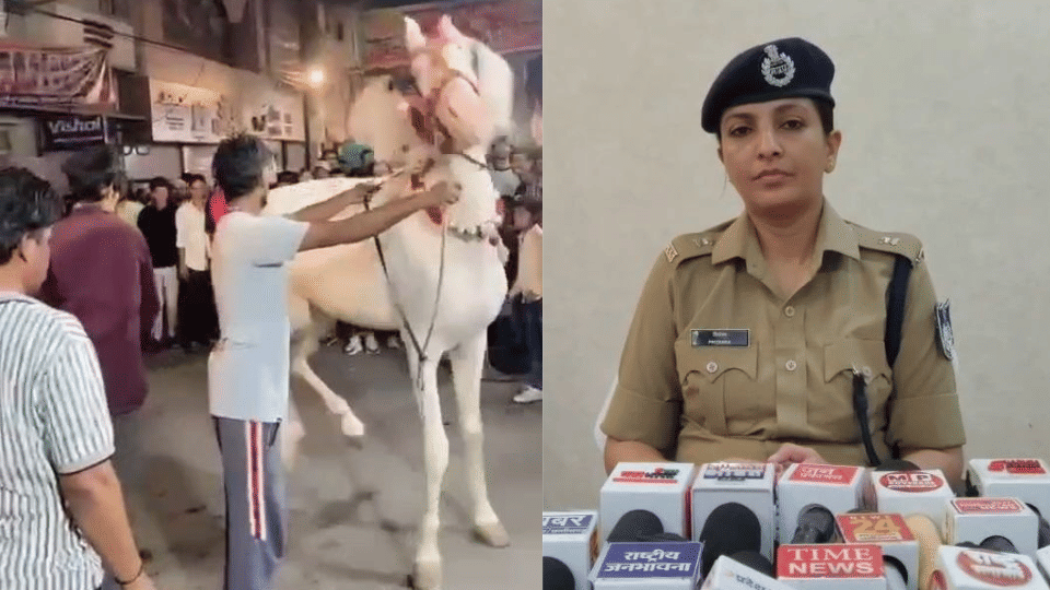 Indore News Four Booked For Animal Cruelty After Videos Of Horse Being Beaten Go Viral