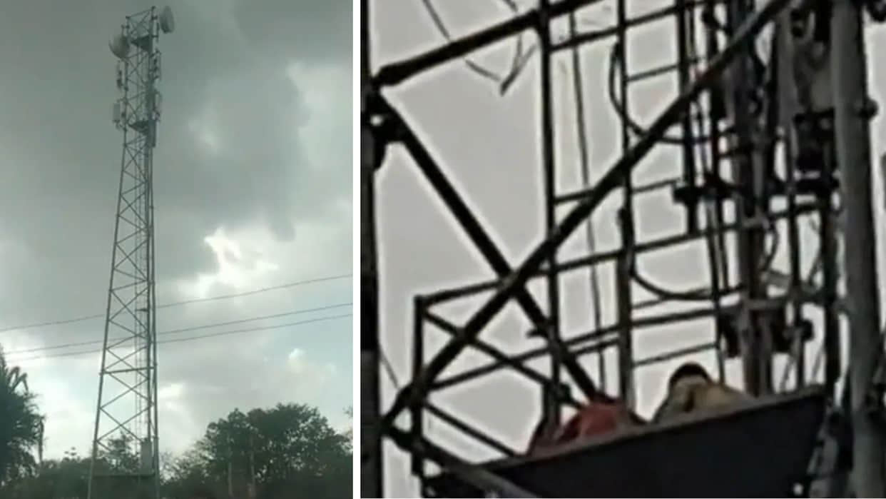 Land dispute escalates in Ashoknagar; two tribals climb a 100-foot tower seeking justice.