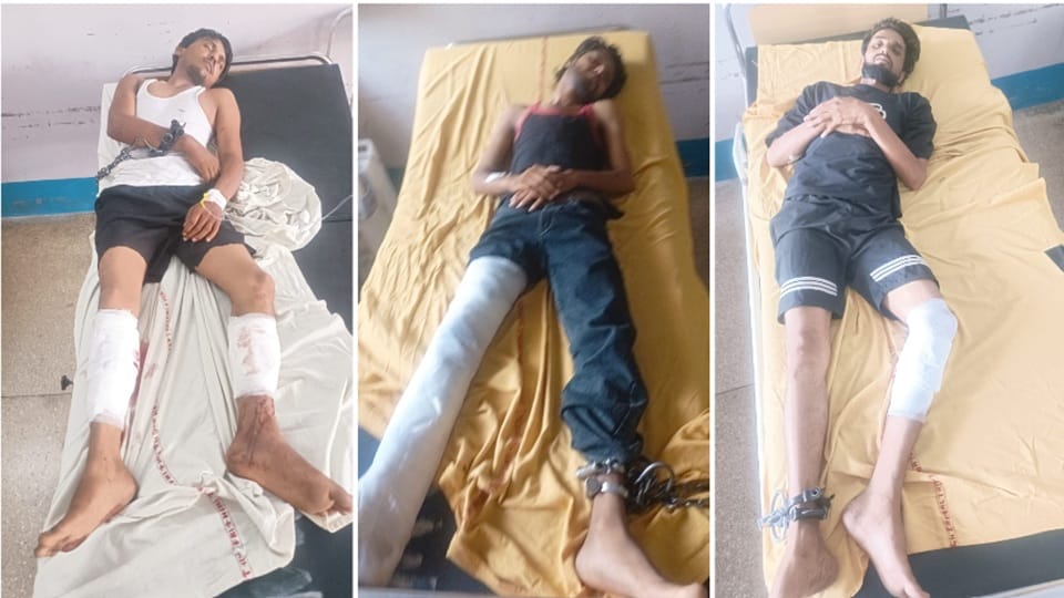 Encounter between police and cattle-thieving gang in Jind