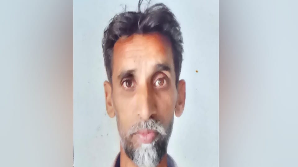 Man dies in dogs attack in Moga