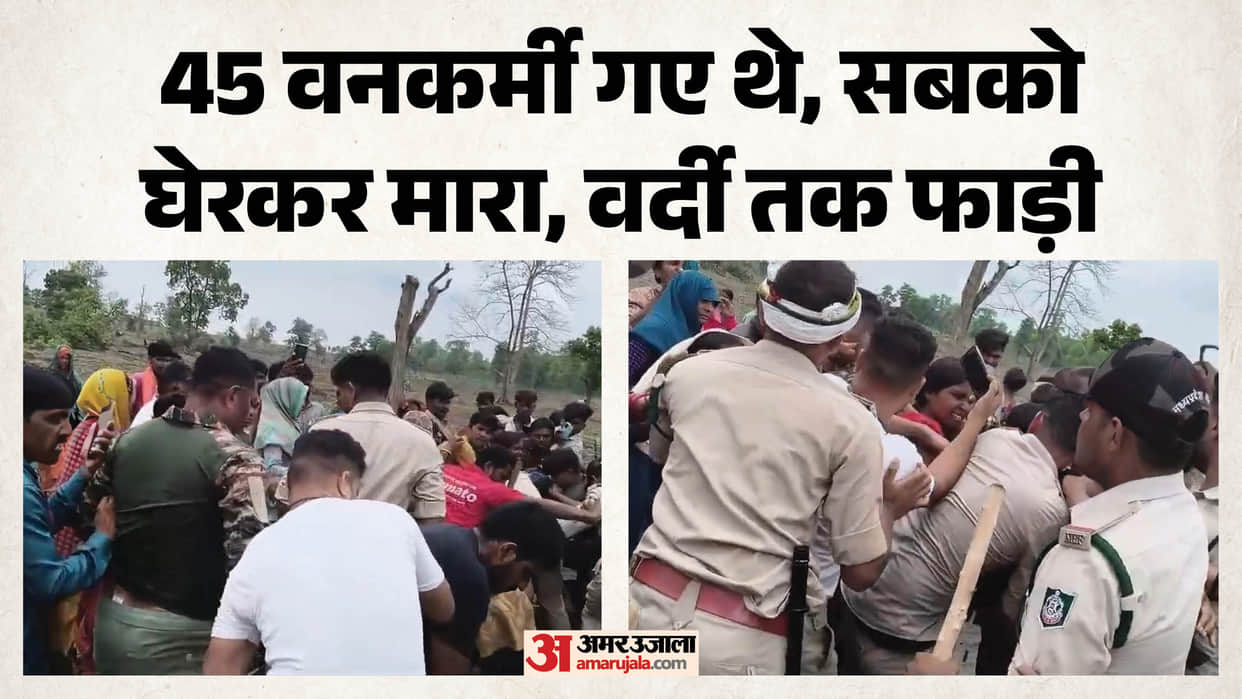 MP: Forest workers who went to stop encroachers were attacked with stones, sticks and axes, ten injured