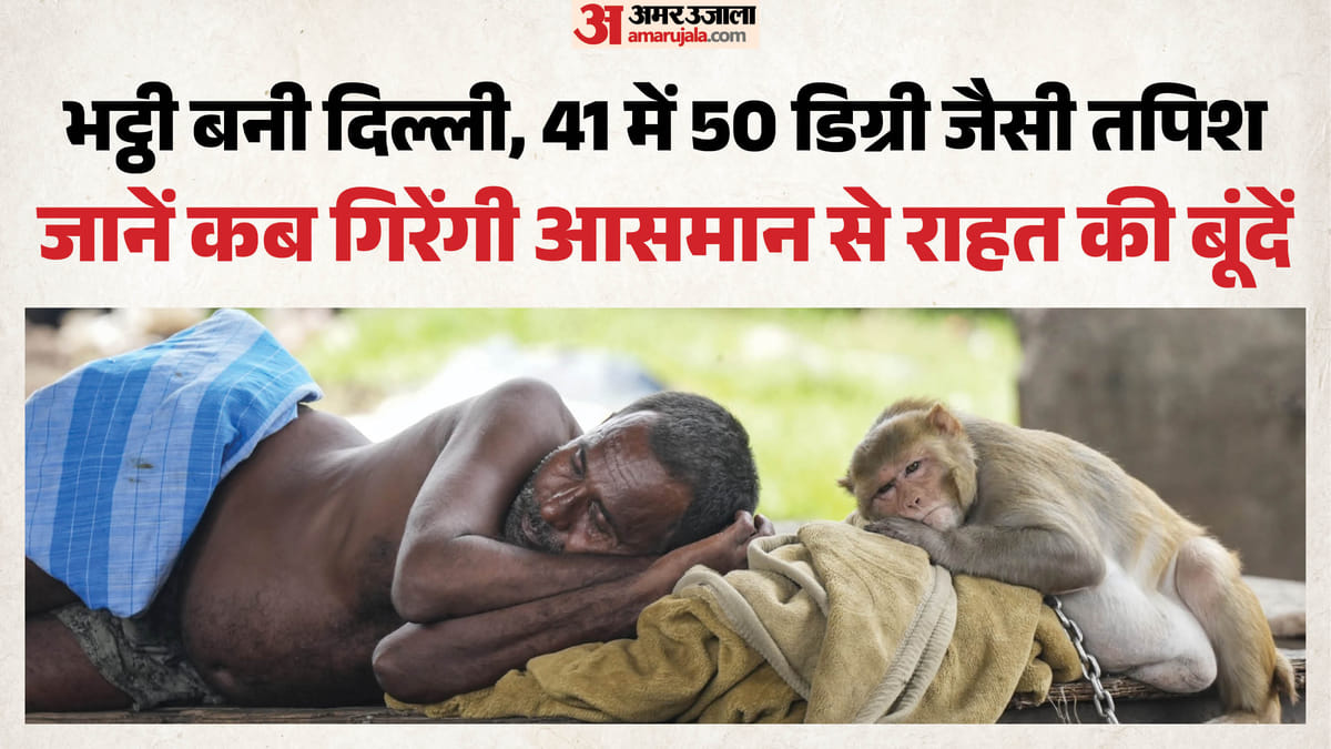 धूप, लू और उमस का ट्रिपल अटैक: दिल्ली में 50°C महसूस हुई गर्मी, IMD ने बताई बारिश की दो तारीखें; अलर्ट जारी