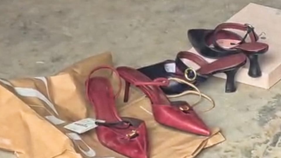 Missing woman murdered in Ambala; body found in car parked at house