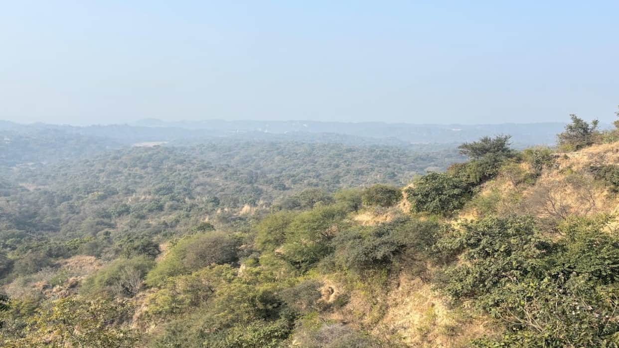 Preparations underway to allocate 20 percent of industrial plots in the Bulk Drug Park to Himachalis.