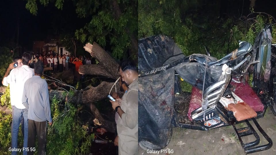 tree fell on an e-rickshaw due to a thunderstorm killed many people
