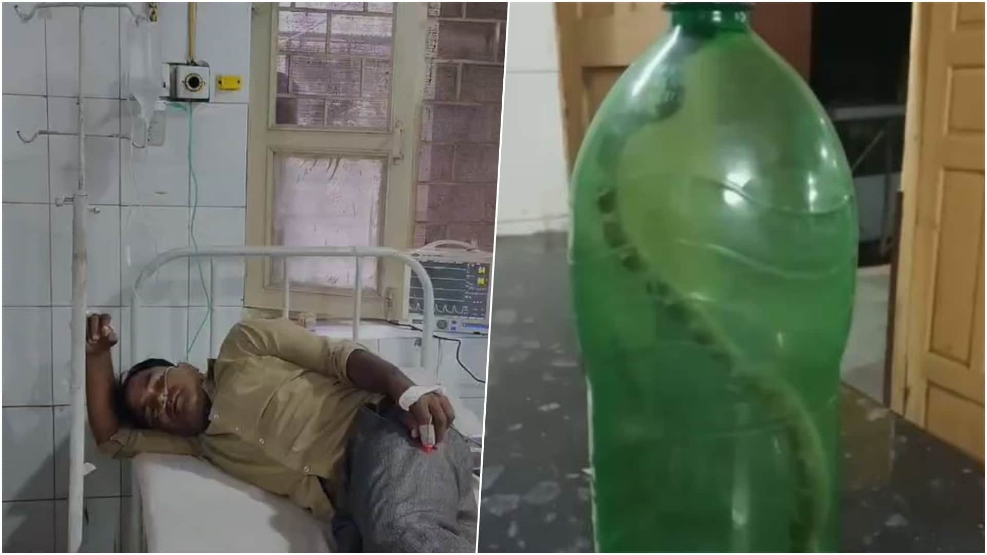 बाथरूम जाते समय युवक को सांप ने डसा