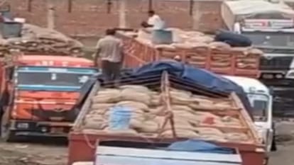 UP Ration Scam: Dealers Allege Water Added to Wheat Sacks to Increase Weight in Baghpat