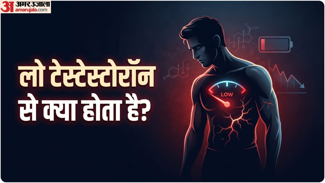 what happens in low testosterone level in men Testosterone ki kami se kya hota hai