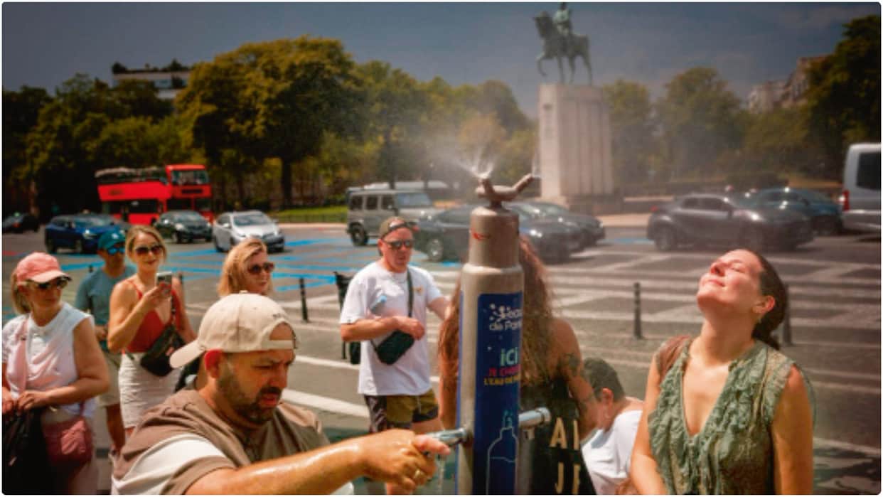 Havoc wreaked by the heatwave in Europe has shattered all illusions; the climate crisis knows no borders.