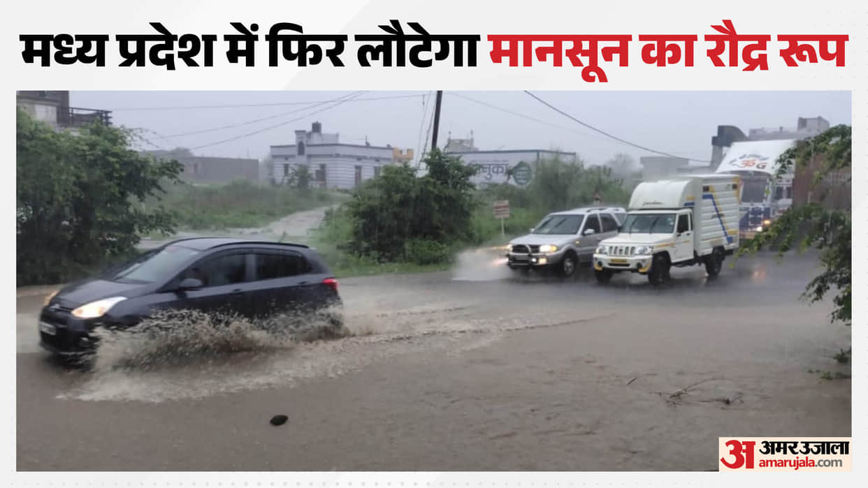 MP Weather Today: Monsoon momentum slows but rainfall continues; alert issued for 50 districts today; new weat