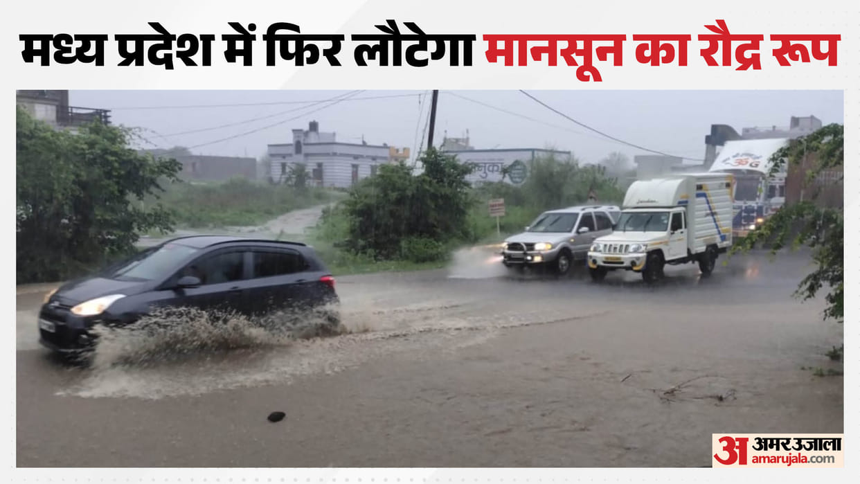 MP Weather Today: Monsoon momentum slows but rainfall continues; alert issued for 50 districts today; new weat
