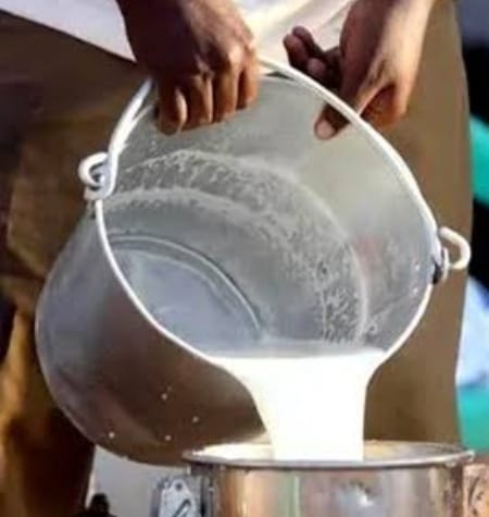 Indore News: Standoff over milk prices in Indore; milk producers' association hikes rates, while the vendors'