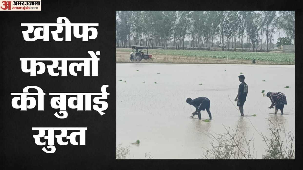 Monsoon Deficit Hits Agriculture: Kharif Sowing Slumps 23%, El Nino Threatens Crop Yields