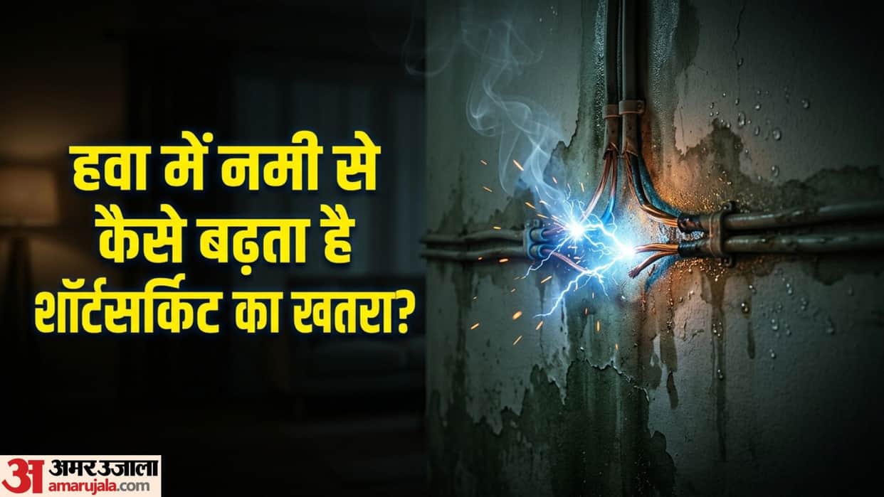 Monsoon Electrical & Termite Safety Why High Humidity Increases Short Circuit and Termite Risks and Precaution