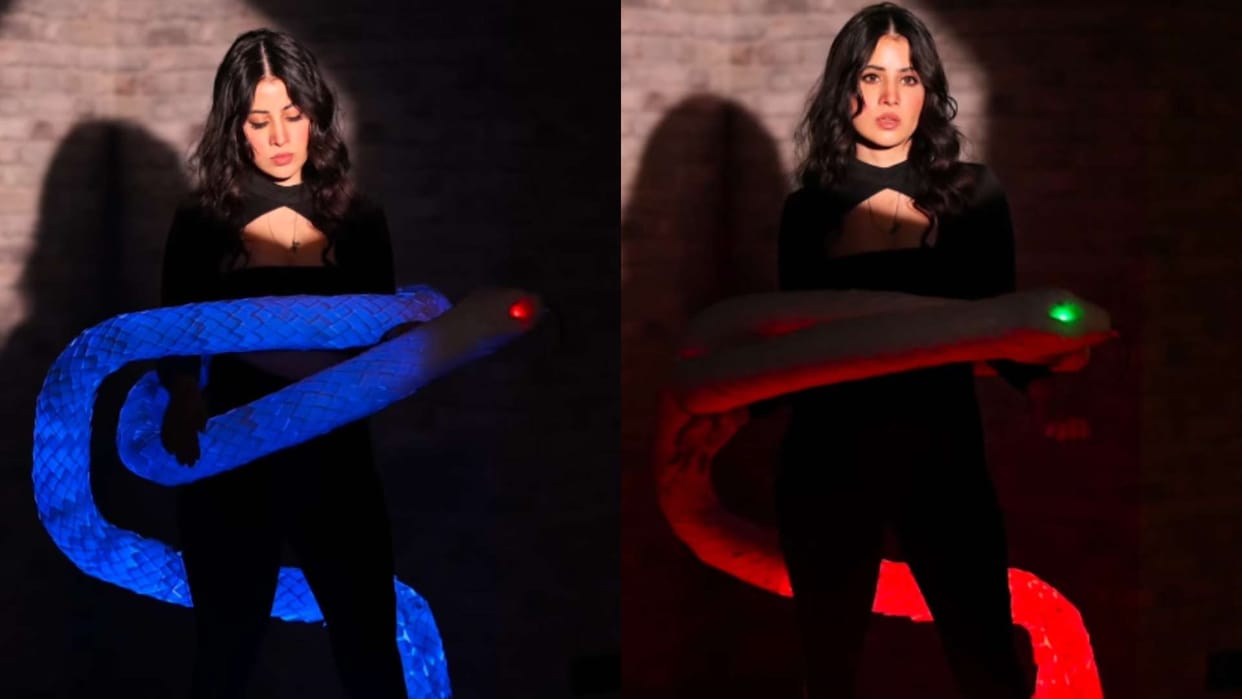 Uorfi Javed dedicated her new outfit to ekta kapoor and Naagin show actress shares Video On Social Media