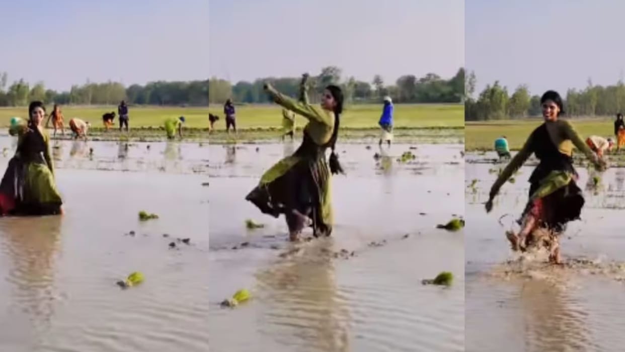 viral village girl starts dancing in paddy field on khesari lal yadav song video goes viral