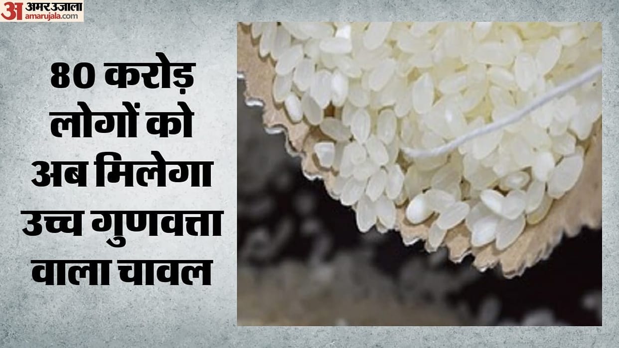 Govt to upgrade rice quality for public distribution