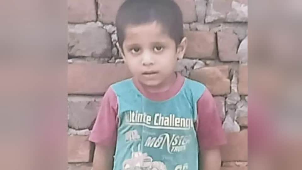 Saharanpur: Stray Dog Attack Kills 8-Year-Old Boy in Saharanpur, Villagers Demand Action