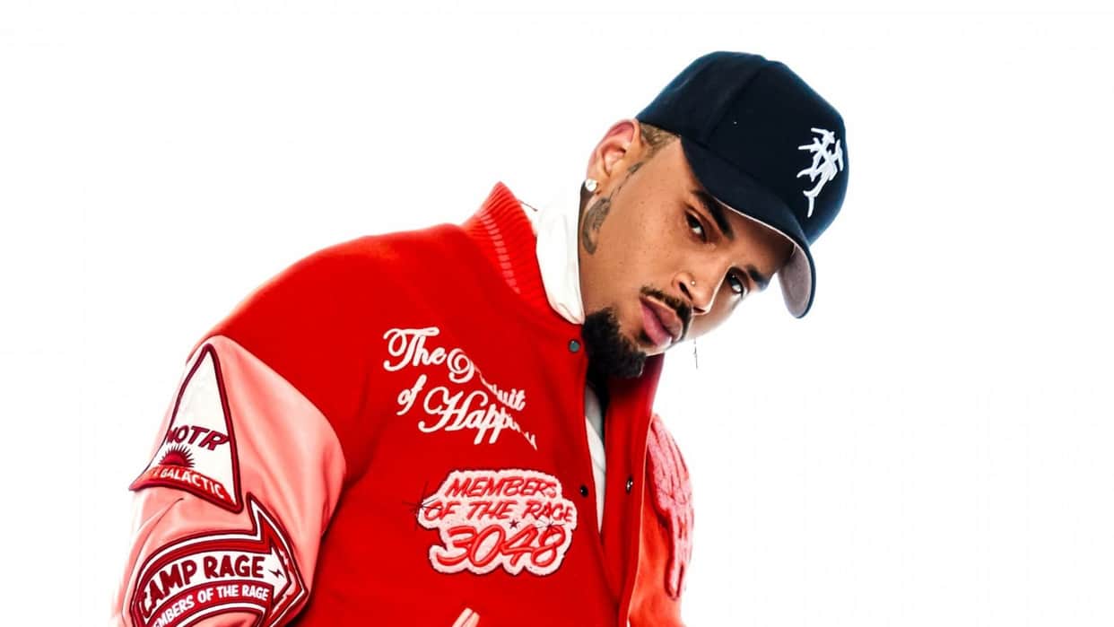 Chris Brown ordered to pay 12 million after housekeeper was mauled by his dog