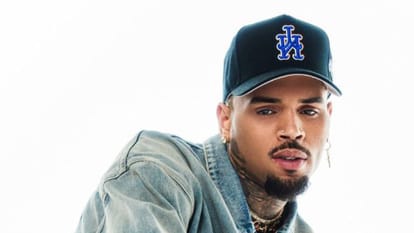 Chris Brown ordered to pay 12 million after housekeeper was mauled by his dog