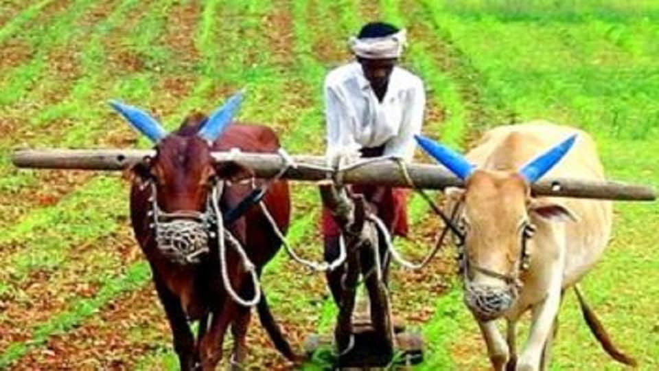 Scientific technology is essential to protect agriculture from climate change
