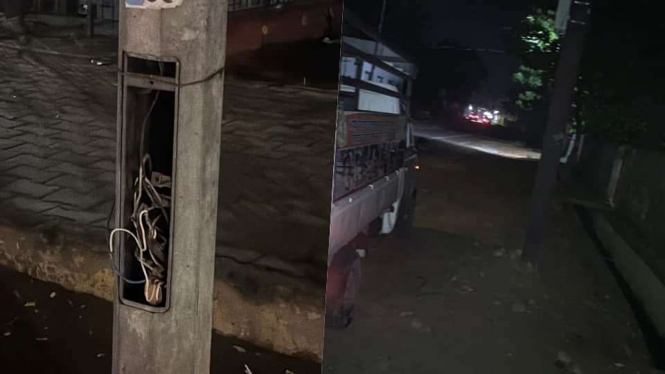 Two cows die of electrocution from a street light pole