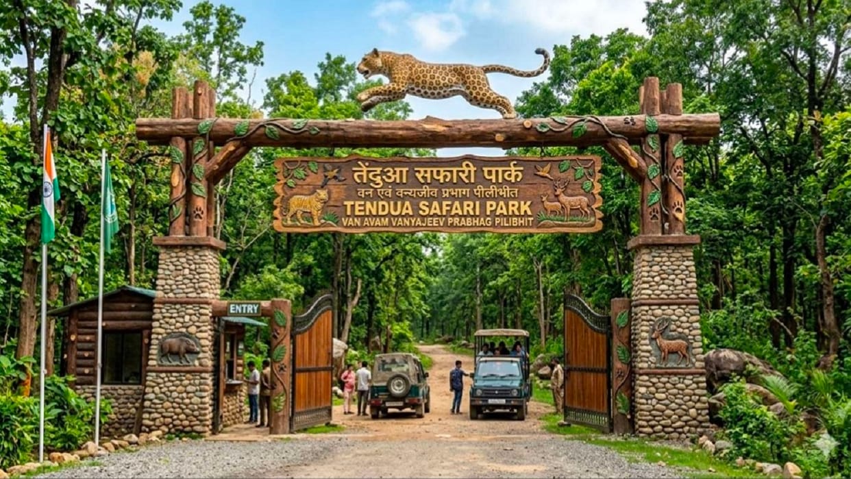 Leopard Safari Park Will be developed on the Shahjahanpur-Pilibhit border