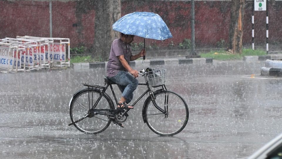 Essential Things to Carry Before Stepping Out During Monsoon
