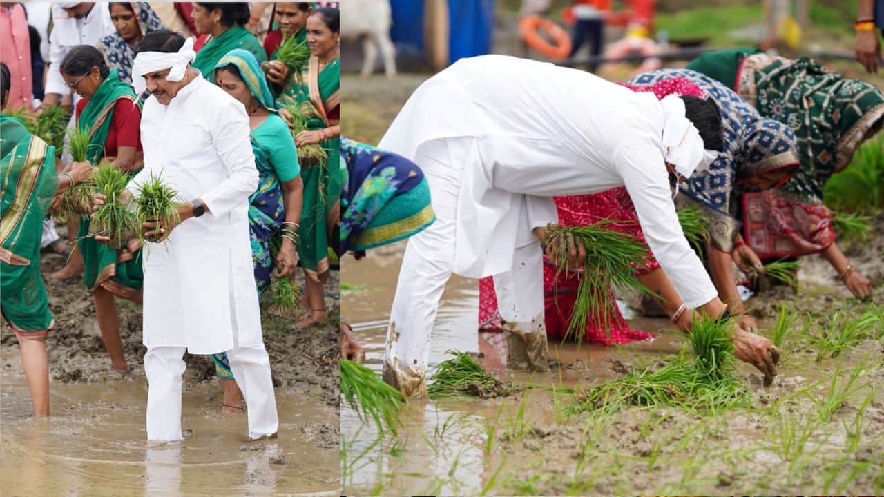 सीएम मोहन यादव ने खेत में धान की रोपाई