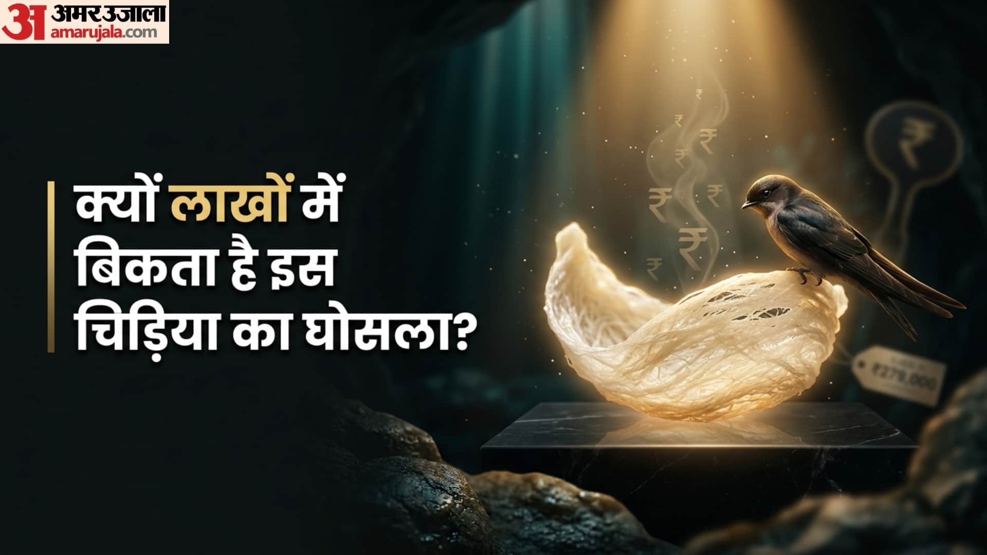 हीरे से भी महंगा बिकता है इस चिड़िया का घोसला, खरीदने के लिए लाखों रुपये खर्च करते हैं अमीर