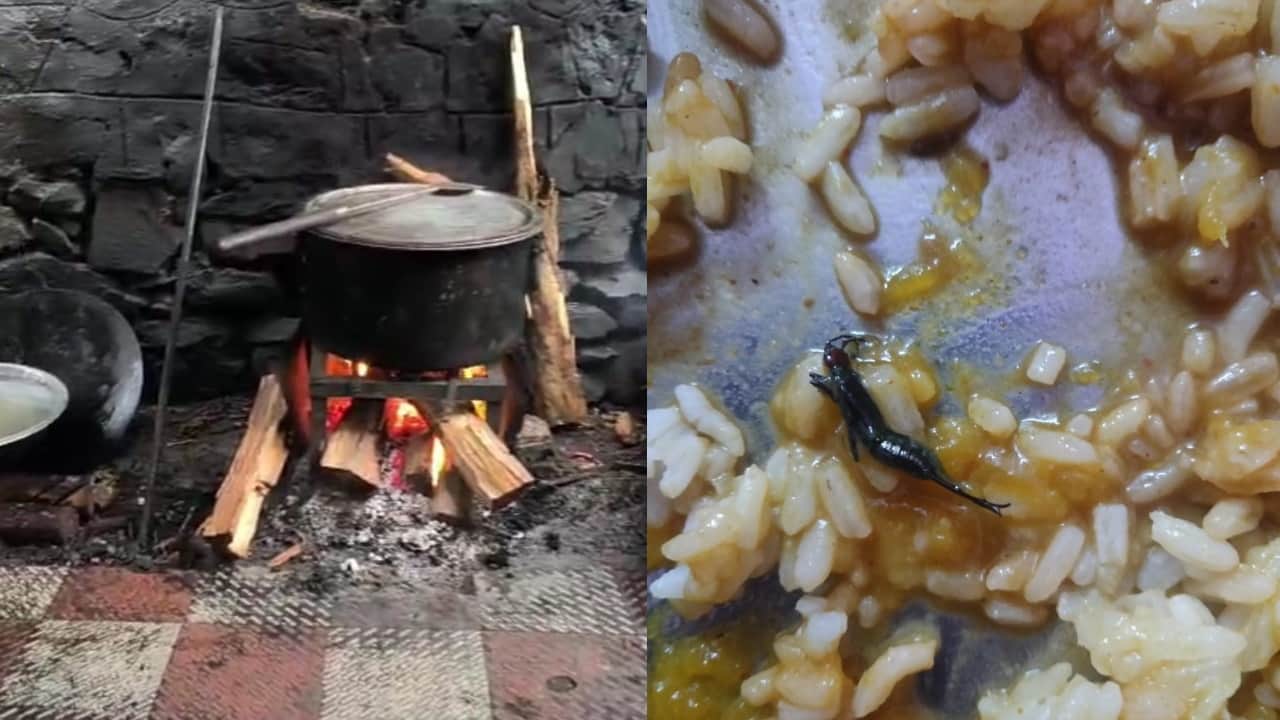 छात्रावास में पक रहे भोजन में मिले कीड़े