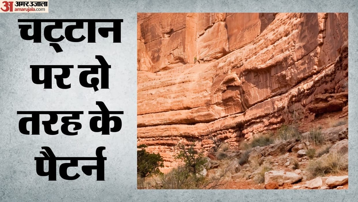 Mysterious carvings found on a stone in the Delhi Ridge