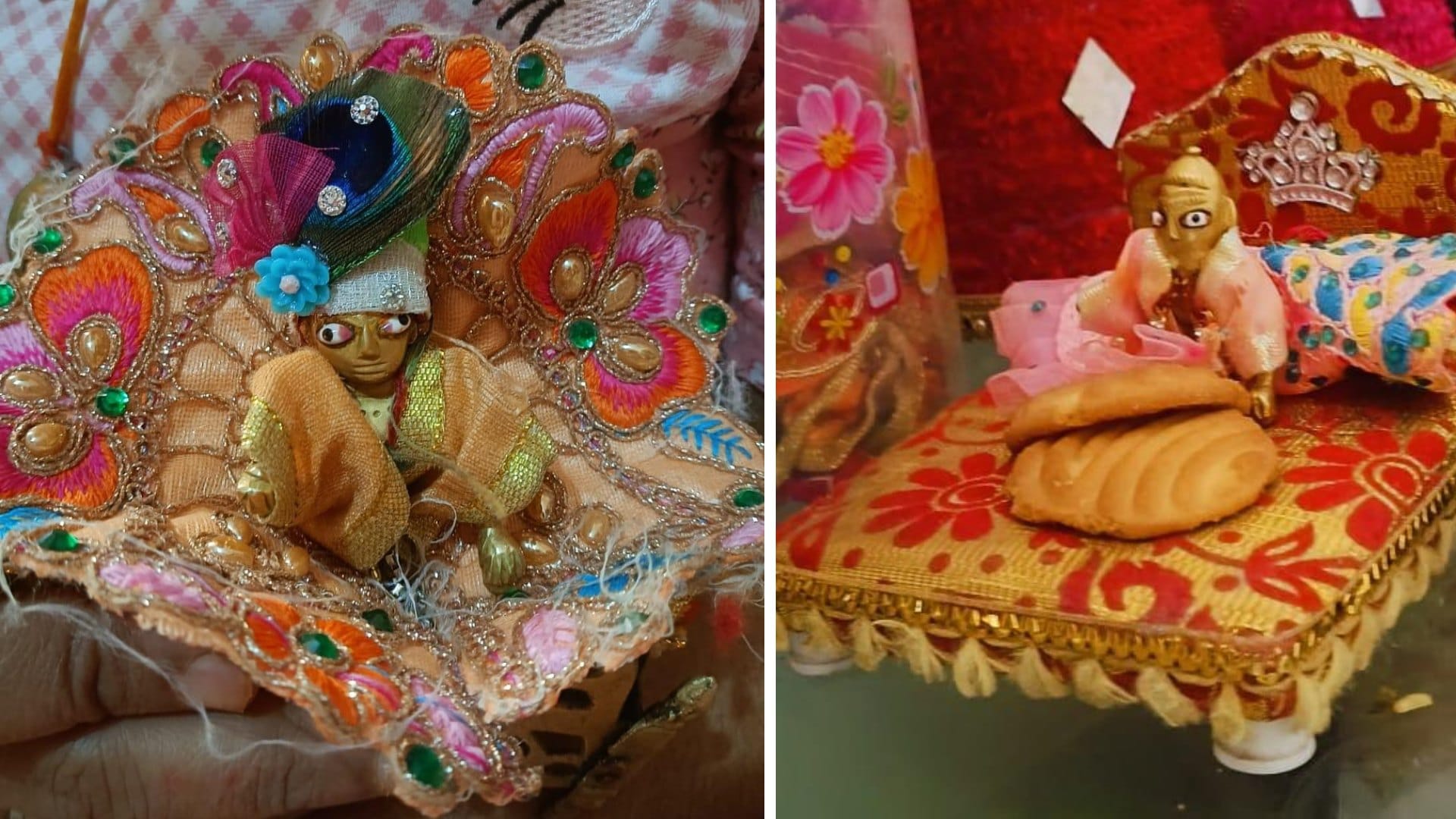 Gwalior Police's unique mission: SIT to search for 'Laddu Gopal', not vicious criminals