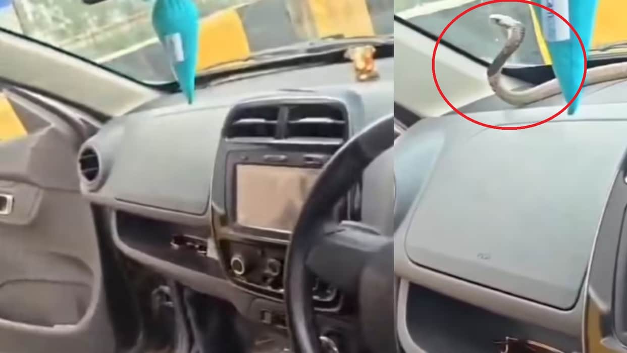 Saanp Ka Video Traffic Policeman Helped Woman Driver By Rescuing Snake From A Car Dashboard