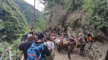 केदारनाथ यात्रा: घोड़ा खच्चर संचालन