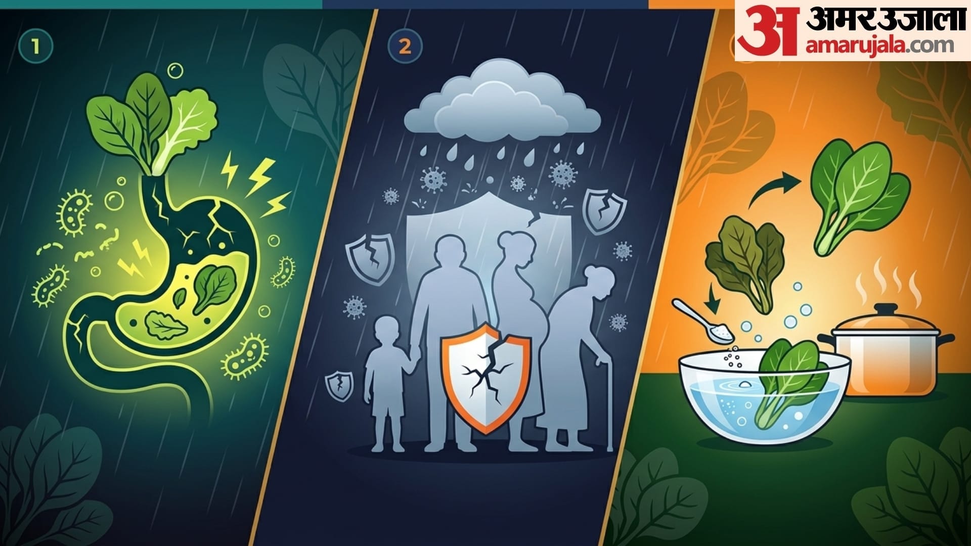 Should You Avoid Leafy Vegetables During Heavy Rain barish me pattedar sabji khaye ya nhi disprj