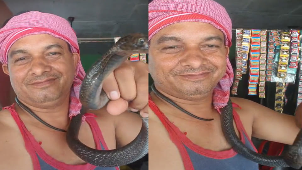 Auraiya: Shopkeeper bitten by snake belonging to a snake charmer while making a reel; admitted to CHC
