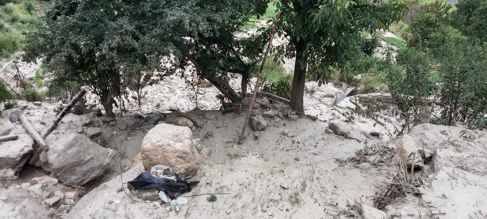 Uttarakhand Rain Havoc Elderly Couple Rescued After Debris Enters Home in Joshimath Badrinath chamoli News