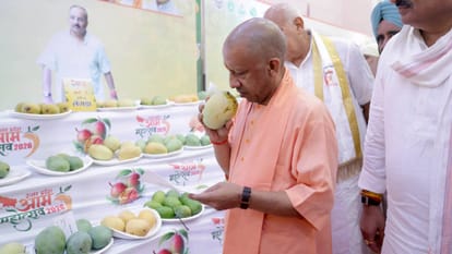 UP: Lucknow Mango Festival kicks off; CM Yogi smiles upon seeing a half-kilogram mango and honors farmers.