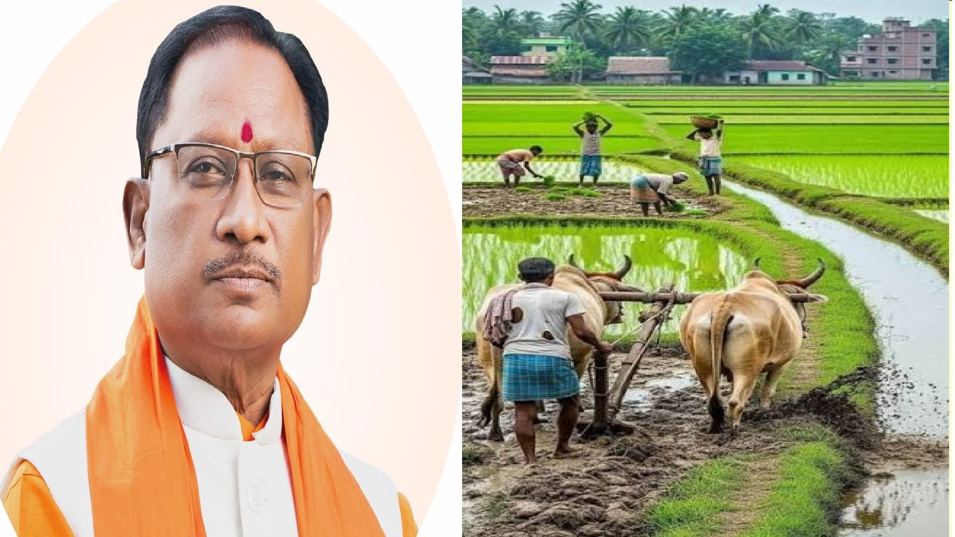 ग्रॉफिक्स: अमर उजाला डिजिटल