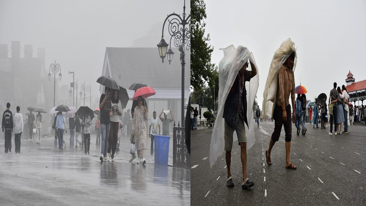 Himachal Weather: Monsoon to pick up pace; rain forecast for seven days; 'Orange Alert for five districts