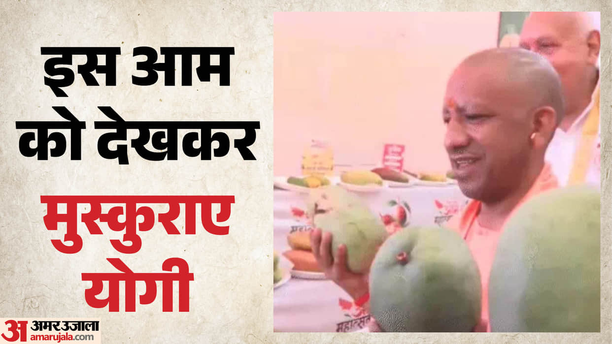 UP: Lucknow Mango Festival kicks off; CM Yogi smiles upon seeing a half-kilogram mango and honors farmers.