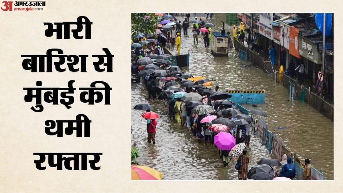 मुंबई में भारी बारिश का कहर: सांताक्रूज में पेड़ गिरने से आठ लोग घायल; पालघर में दीवार ढहने से महिला की मौत