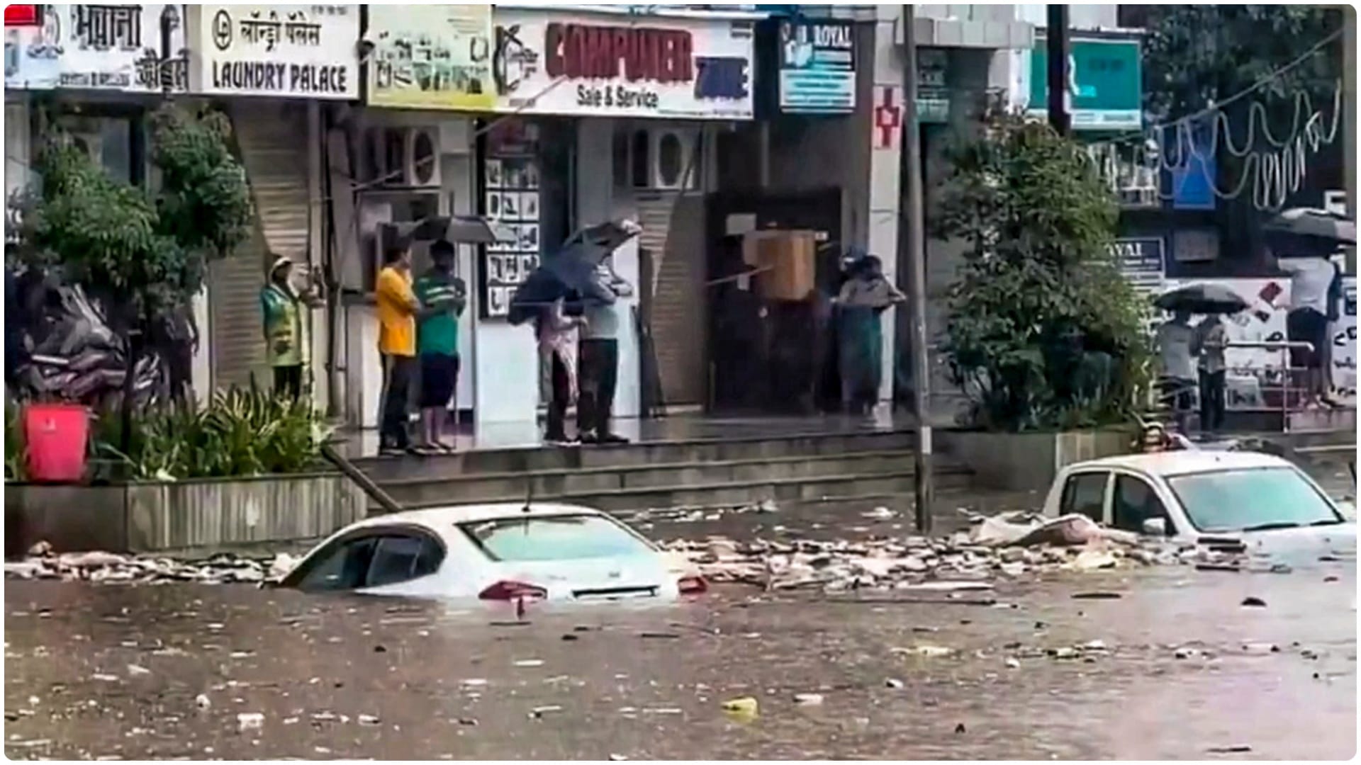 Mumbai: 8 injured in tree fall; Woman dies in wall collapse in Palghar; Maharashtra News in Hindi